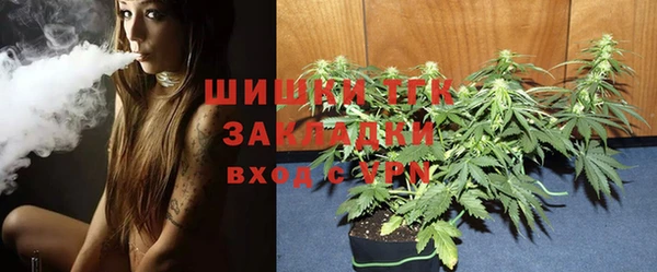 стаф Протвино