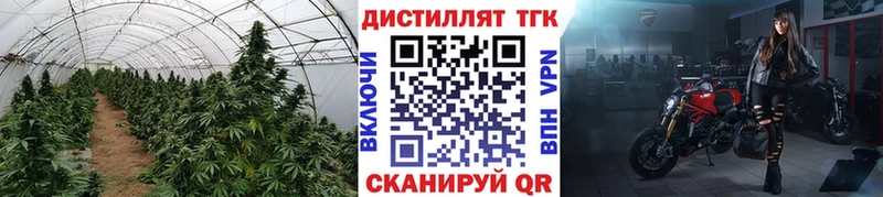 ТГК Wax  Карталы 
