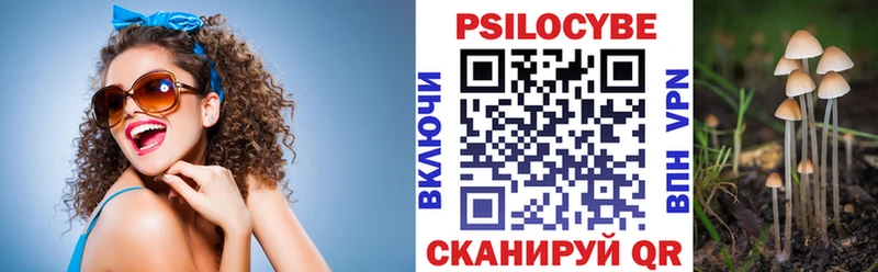 Псилоцибиновые грибы Magic Shrooms  магазин    Карталы 
